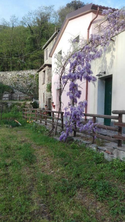 Cà di Gatti Apartment Ne Esterno foto